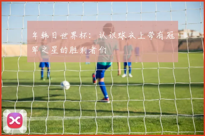 年韩日世界杯：认识球衣上带有冠军之星的胜利者们