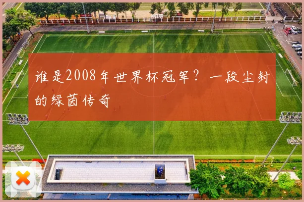 谁是2008年世界杯冠军？一段尘封的绿茵传奇