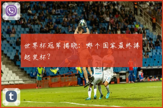 世界杯冠军揭晓：哪个国家最终捧起奖杯？