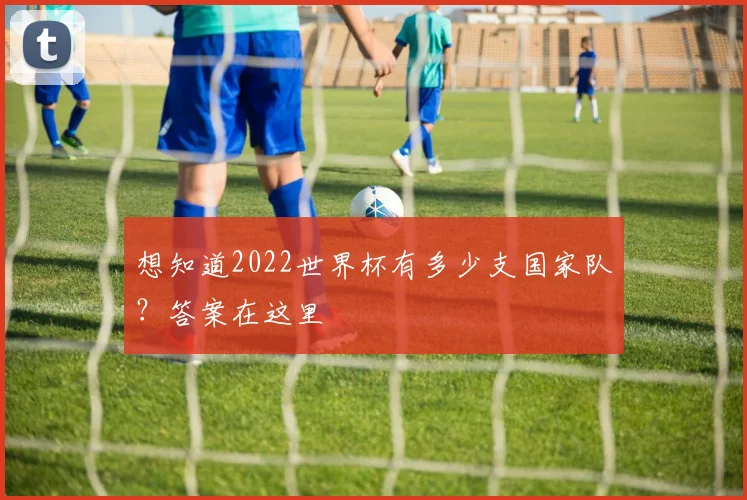 想知道2022世界杯有多少支国家队？答案在这里