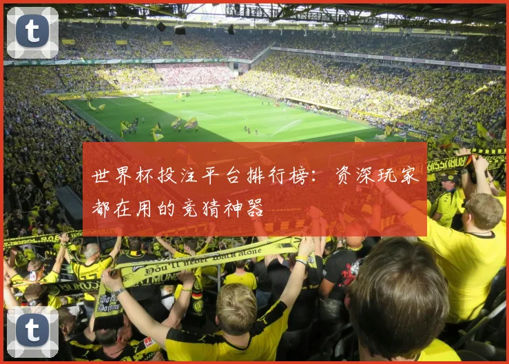 世界杯投注平台排行榜：资深玩家都在用的竞猜神器