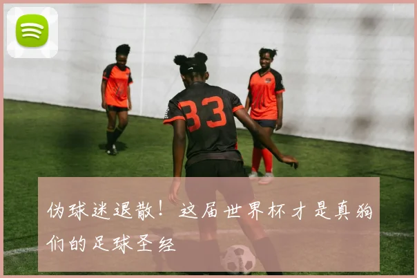伪球迷退散！这届世界杯才是真狗们的足球圣经