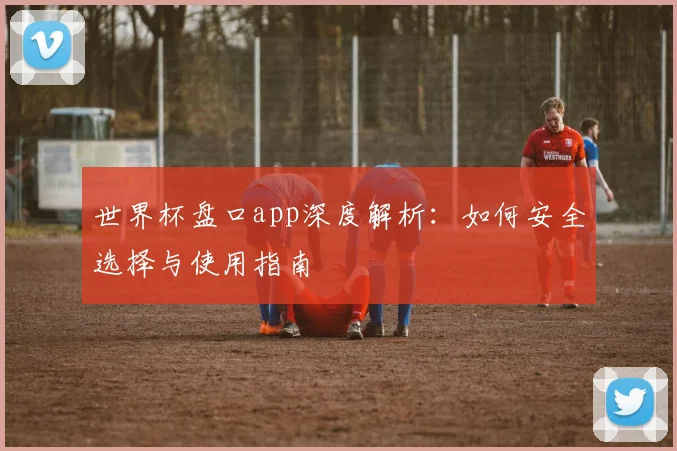 世界杯盘口app深度解析：如何安全选择与使用指南