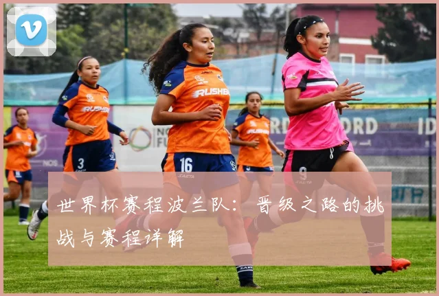 世界杯赛程波兰队:晋级之路的挑战与赛程详解