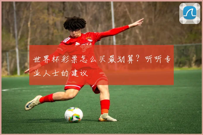 世界杯彩票怎么买最划算？听听专业人士的建议