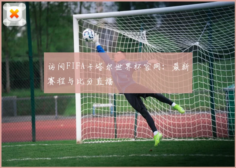 访问FIFA卡塔尔世界杯官网：最新赛程与比分直播