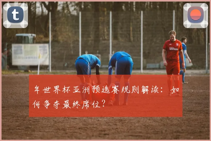 年世界杯亚洲预选赛规则解读：如何争夺最终席位？