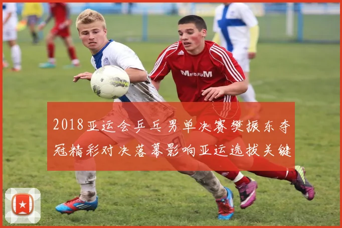 2018亚运会乒乓男单决赛樊振东夺冠精彩对决落幕影响亚运选拔关键