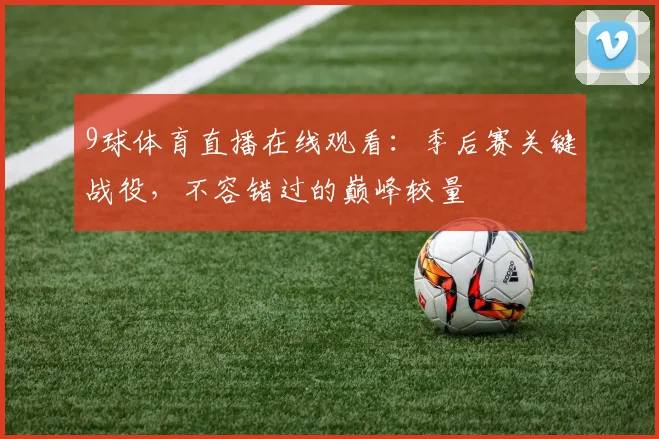 9球体育直播在线观看：季后赛关键战役，不容错过的巅峰较量