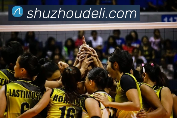 多媒体互动体验